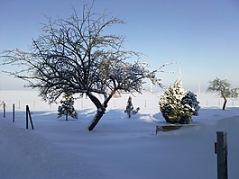 冬天,冷,天空