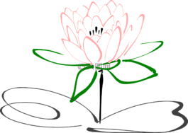 蓮花,花,開花