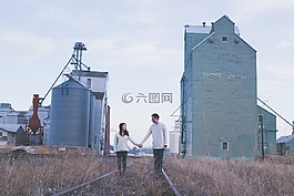 建設(shè),結(jié)構(gòu),植物