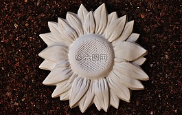 太陽花,石膏,空白