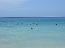 鵜鶘,水,海