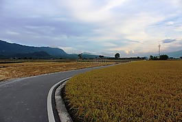 景觀,馬路,場