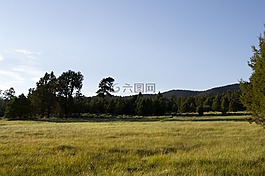 草甸,高寒草甸,高山