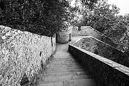 樓梯,下降 北風(fēng)勁,向下