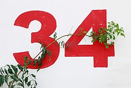 白,墻,號(hào)碼