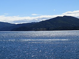 新西蘭,海洋,水