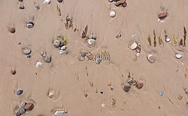 沙,石頭,海灘