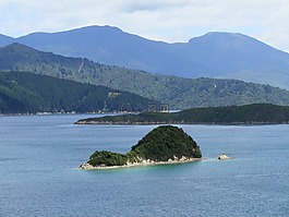 新西蘭,海洋,水