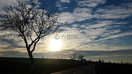 太陽,云,樹