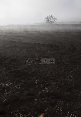 霧,心情,景觀