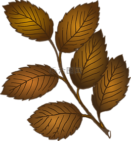葉子,秋天,枝杈