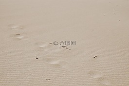 砂,指紋,空間