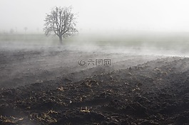 霧,心情,景觀