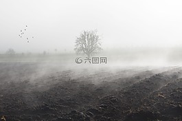 霧,心情,景觀