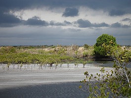 风暴,梅里特岛,佛罗里达