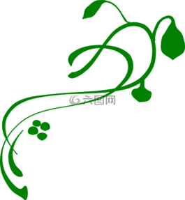 蓬勃發(fā)展,藤,綠色