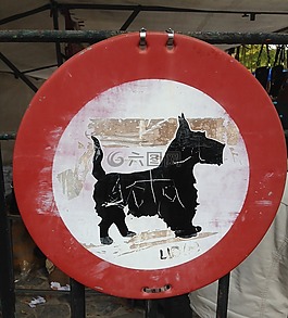 交通標(biāo)志,狗,奇怪