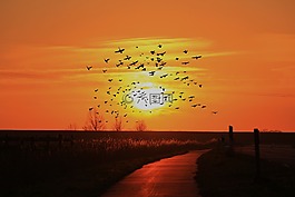日落,太陽,abendstimmung