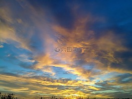 海邊,鳥類,烹飪學(xué)校