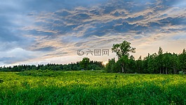 全景,性質(zhì),景觀