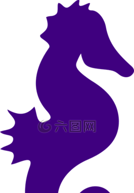 海馬,紫色,魚