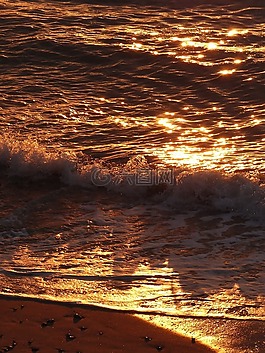 波,海灘,海洋