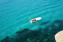 海,水,漁