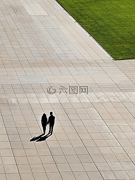 綠色,草,原野