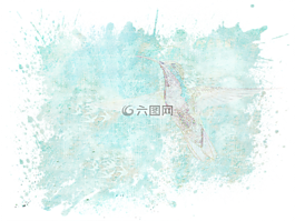 鳥,蜂鳥,紋理