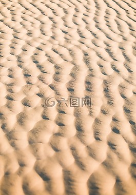 沙,海灘,波