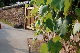 國家,從前,傳統