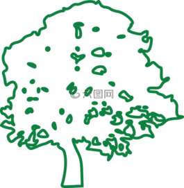 樹(shù),自然,森林