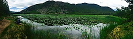 黃石公園,國家,公園