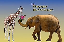 生日賀卡,生日,迎接