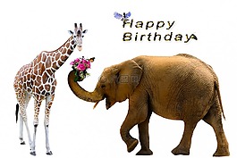 生日賀卡,生日,迎接