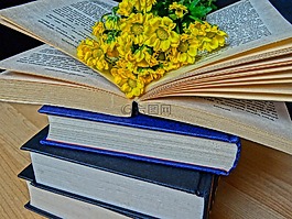 書籍,讀,小說(shuō)