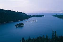 山,樹,植物