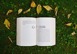書,閱讀,研究