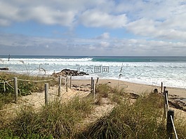 海灘,沖浪,海