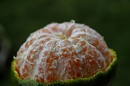 食品,性質(zhì),水果