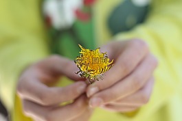 花卉,性質(zhì),黃色