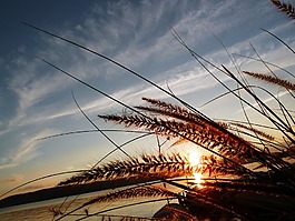 日落,橙,性質(zhì)