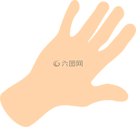 手,棕櫚,手指