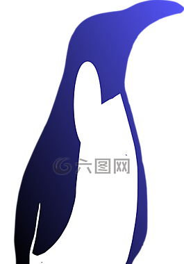 企鵝,鳥,動物