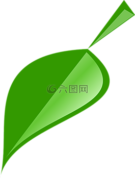 葉,綠色,自然