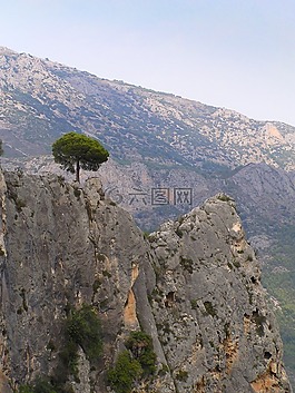 樹(shù),山,景觀