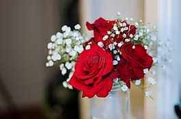 花束,花的,自然