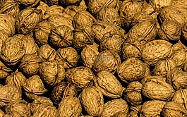 堅果,螺母,核桃
