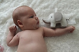 寶貝,嬰兒,女孩