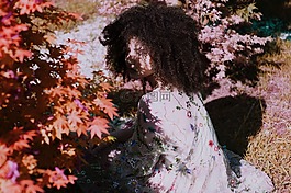 秋,自然,植物